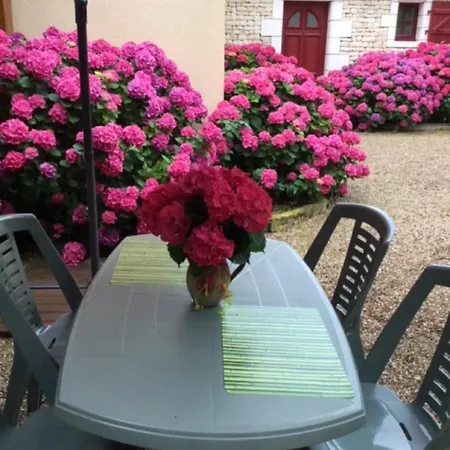 Gite Les Iris Nalliers